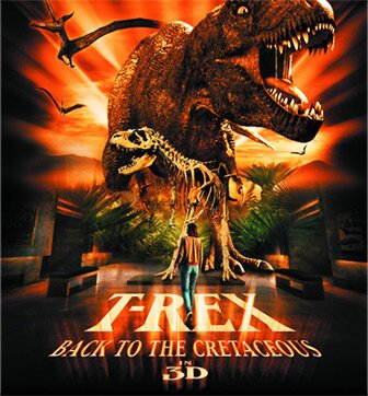 Experience at IMAX
