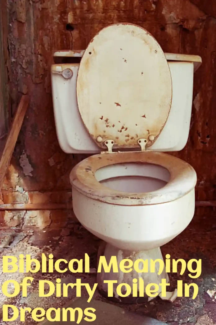 Biblical Meaning Of Dirty Toilet In Dreams