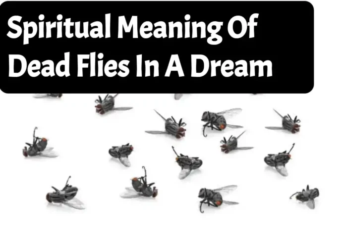 Spiritual Meaning Of Dead Flies In A Dream
