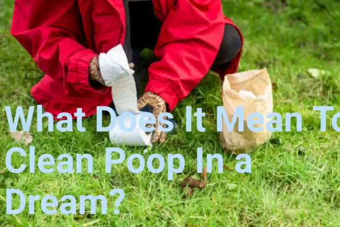 What Does It Mean To Clean Poop In a Dream?