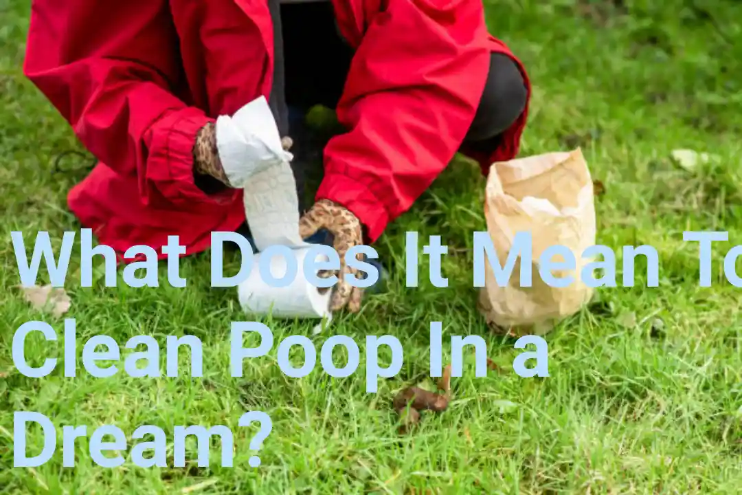 what-does-it-mean-to-clean-poop-in-a-dream-scity