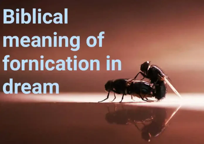 Biblical meaning of fornication in dream