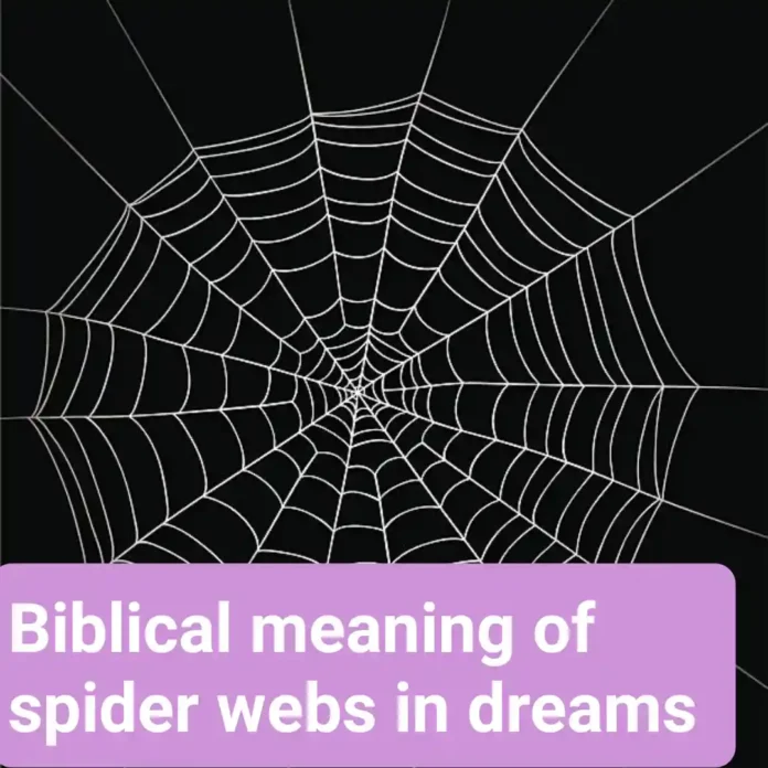 biblical meaning of spider webs in dreams