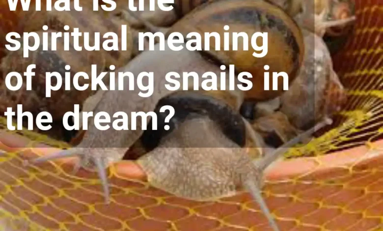 What is the spiritual meaning of picking snails in the dream?